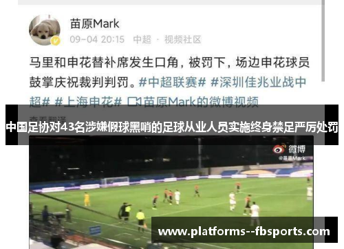 中国足协对43名涉嫌假球黑哨的足球从业人员实施终身禁足严厉处罚